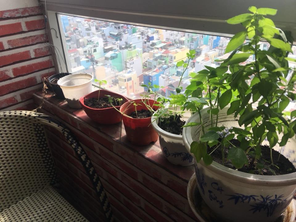 Skygon Hostel 호치민 외부 사진